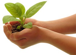 Вы решили создать свой сайт. С чего начать?